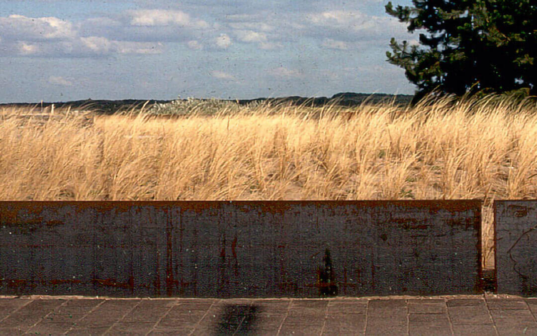 Duintuin Zandvoort