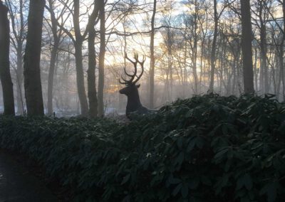 Boekenroode Aerdenhout