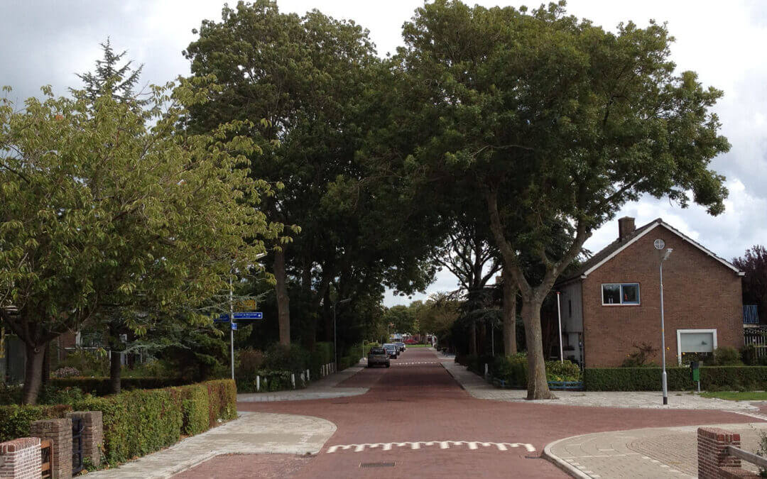 Oranjebuurt langedijk