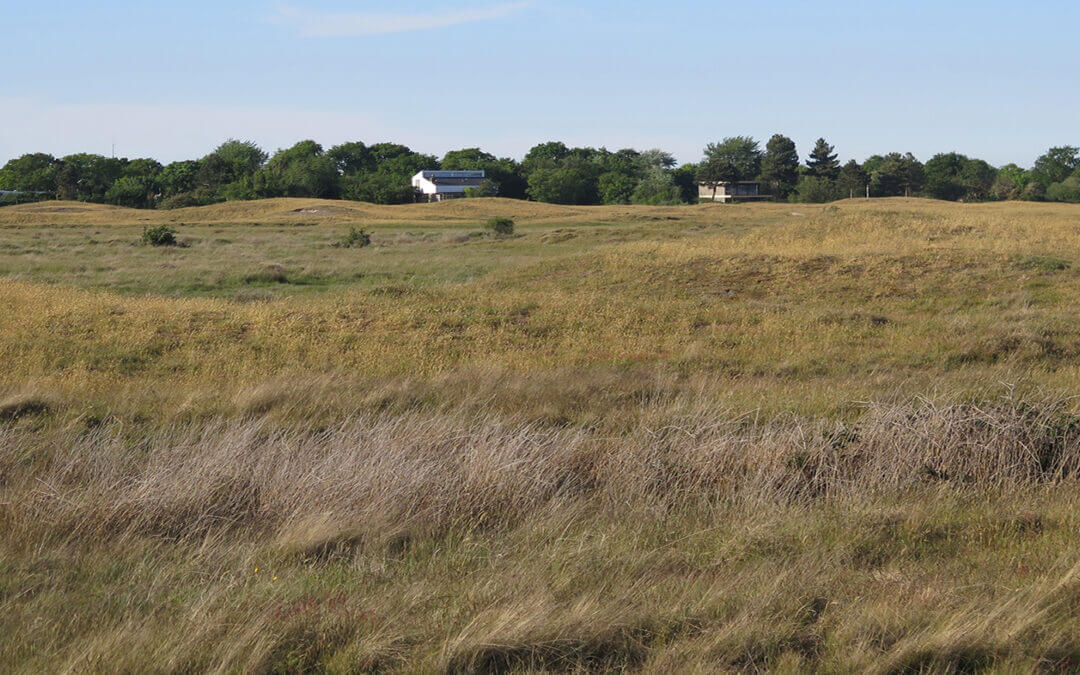 landschapsprofiel Kop van Goeree