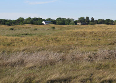 landschapsprofiel Kop van Goeree